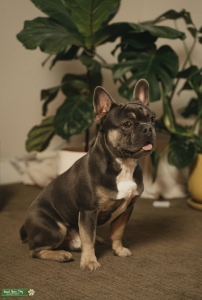 Handsome guy looking for a cute gal Listing Image