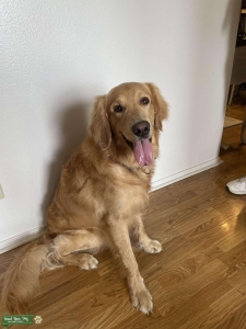Ranger’s looking for a girlfriend!  Listing Image