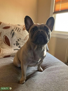 Beautiful Female Listing Image