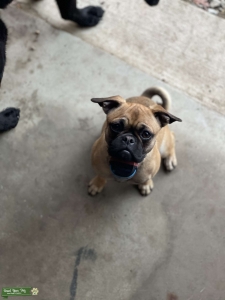 Frug Listing Image
