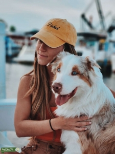 Red Merle Blue Eye Stud Listing Image