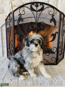Bella Teena Listing Image