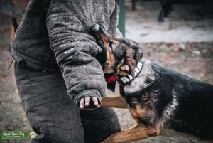 Working Lined GSD Listing Image