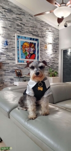 Lovely and handsome guy looking for a girlfriend Listing Image