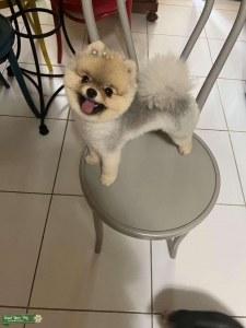 Looking for a -4lbs bf Listing Image