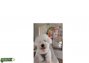 Max Listing Image