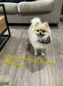 Ted Pom Listing Image