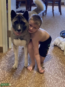 Big dog looking for love Listing Image
