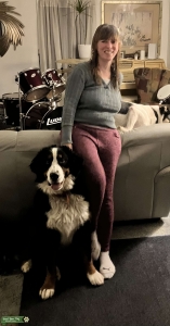 Bernese Mountain Dog Listing Image