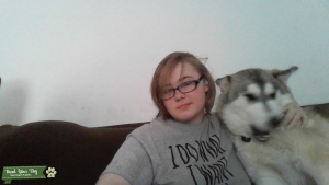Low content wolfdog Listing Image