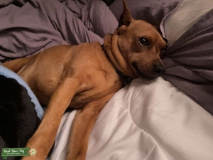 Min pin  Listing Image