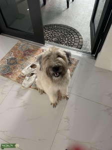 My girl looking for a boyfriend  Listing Image