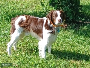 Brittany  Listing Image
