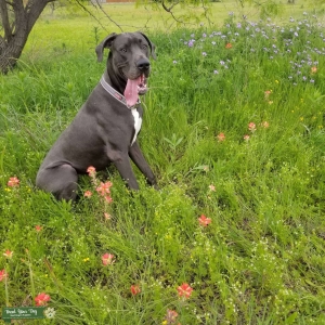 Looking for a Girlfriend  Listing Image