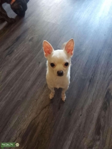 Poco needs some lovin Listing Image
