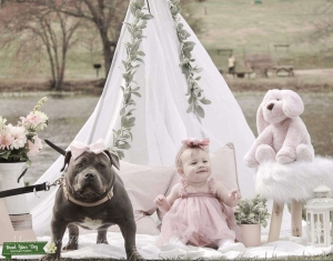 Looking to breed Listing Image