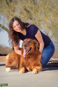 Large Handsome Dark Golden Retriever Listing Image