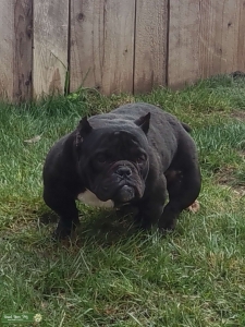 Little