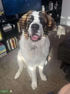 Beautiful Girl - First Timer Listing Image