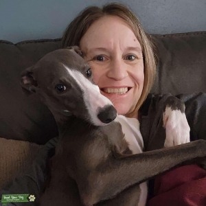 Blue Italian Greyhound Listing Image