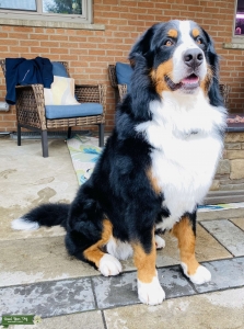 Jax looking for love Listing Image
