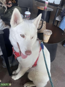 looking for male mate! Listing Image