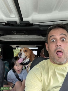Lukas the Beagle Listing Image