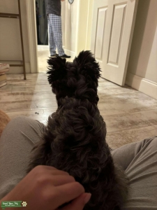 Little man Listing Image