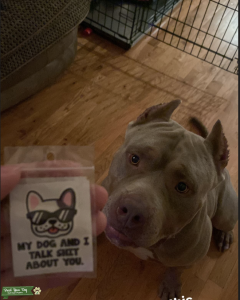 UKC Registered XL American Bully Listing Image