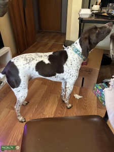 White and Black GSP Listing Image