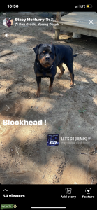 STUD Listing Image