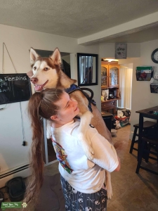 Looking for her Balto! Listing Image