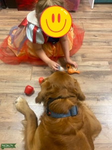 Beautiful AKC therapy dog  Listing Image