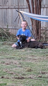 Dark Chocolate Lab Pit from the fire nation Listing Image