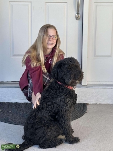 Aussiedoodle Listing Image