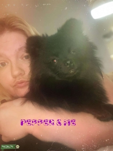 black Listing Image