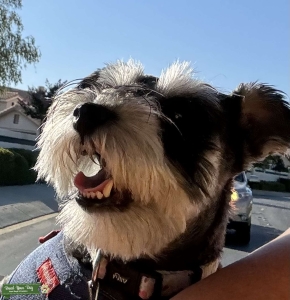 Looking for kind loving male Listing Image