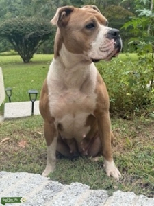 LOOKING FOR MATE Listing Image