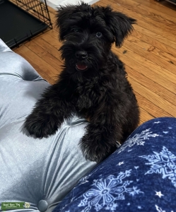 Male looking for female  Listing Image