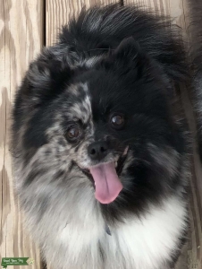 My Coco Bella  Listing Image