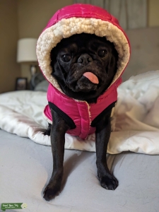 Mindy's First Time Listing Image