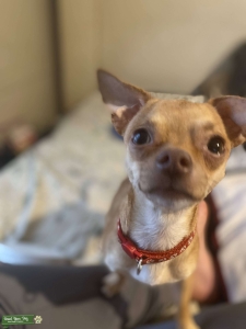 this is Max! Listing Image
