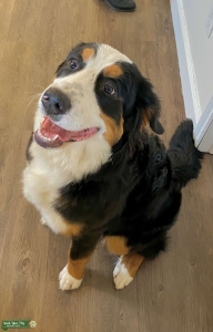 Nova’s Ready to be a Mom Listing Image