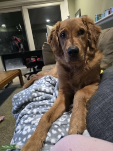 Tucker Listing Image