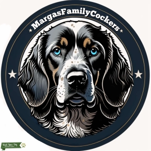Elite Stud Serives American Cocker Spaniel  Listing Image