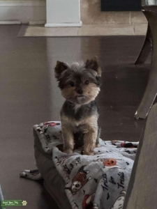 Handsome Boy Listing Image