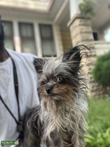 Looking for dad Listing Image
