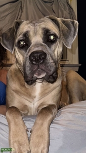 Female looking for mate Listing Image