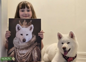 Looking for Japanese Akita stud Listing Image