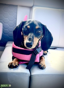 Sweet and silky-soft Rory Listing Image